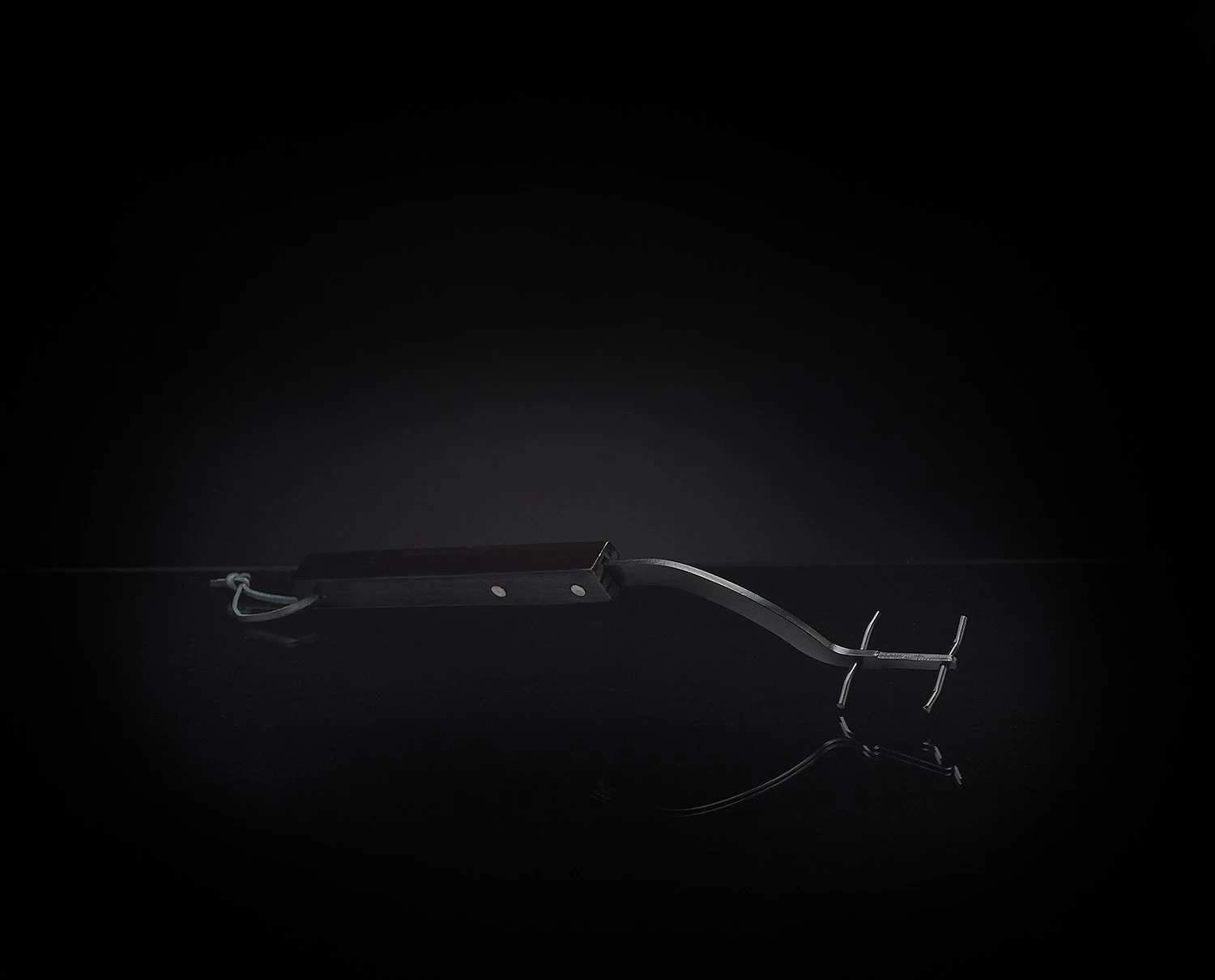 Napoleon Rostheber 3 Napoleon Rostheber – Bild 3